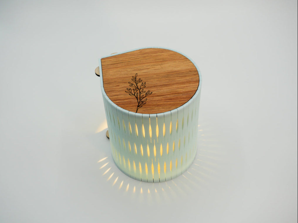 Bubble Lamp Cordless in Cool Mint frame with Blackwood Timber top