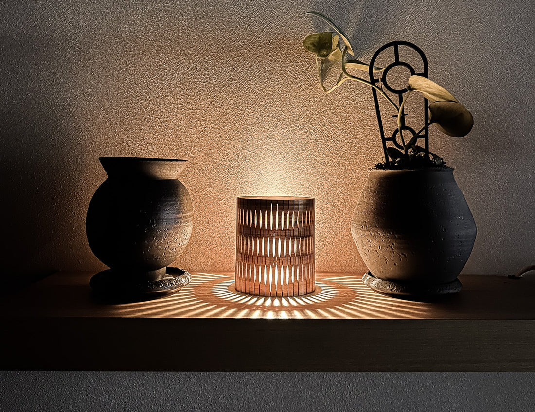 Bubble lamp on a shelf with pot and plant