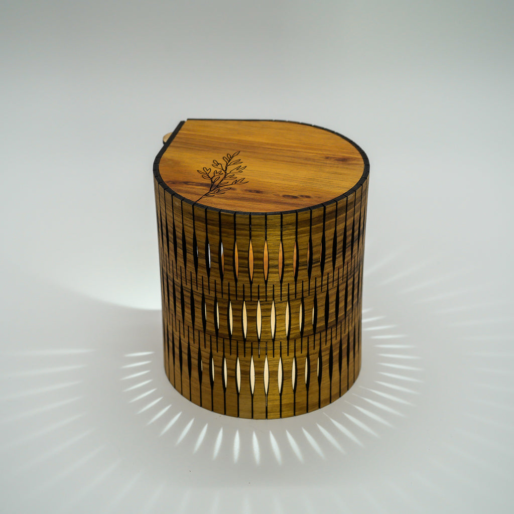 Portable Bubble Lamp in blackwood timber top from RS Studio