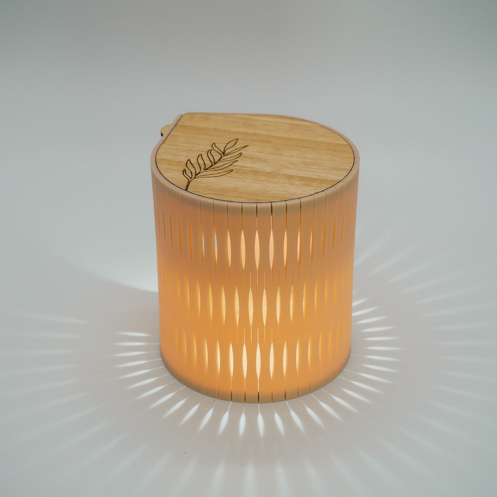 Portable Bubble Lamp in desert peach with eucalypt timber top from RS Studio
