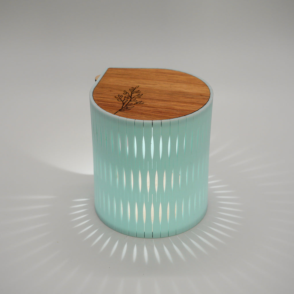 Portable Bubble Lamp in mint green with blackwood timber top from RS Studio
